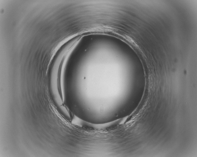 X0000052630838200507221748