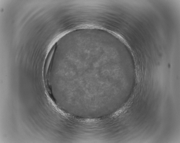 X0000052630839200507221748