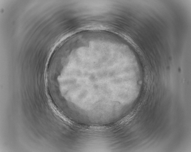 X0000052630840200507221748