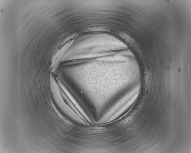 X0000052630841200507221748