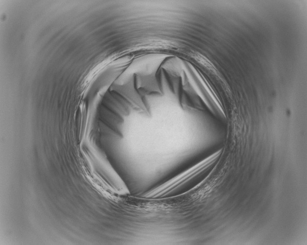 X0000052630842200507221748