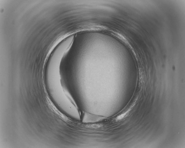 X0000052630843200507221748