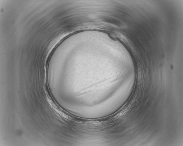 X0000052630844200507221748