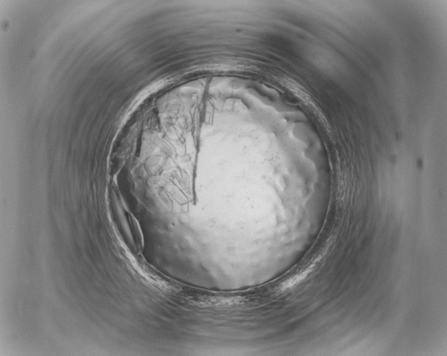 X0000052630845200507221748