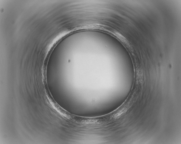 X0000052630846200507221748