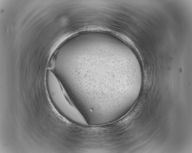 X0000052630847200507221748