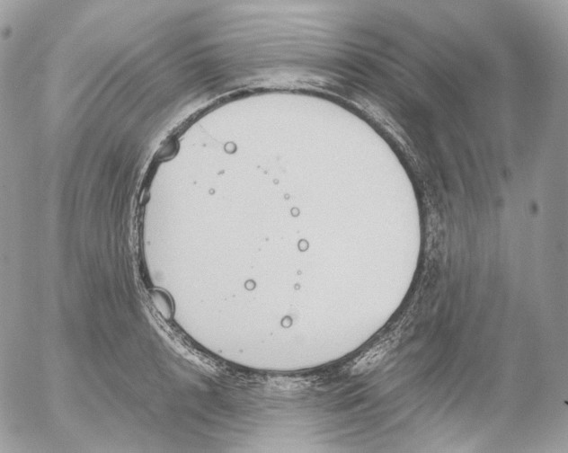 X0000052630848200507221748