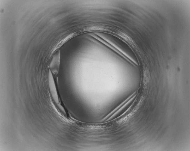 X0000052630849200507221748