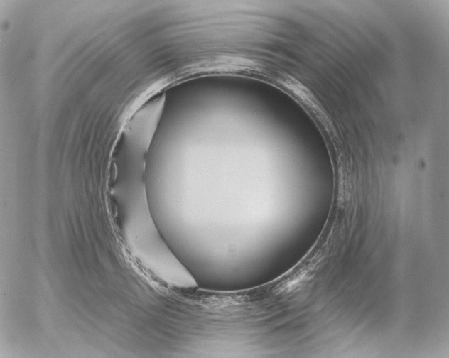 X0000052630850200507221748