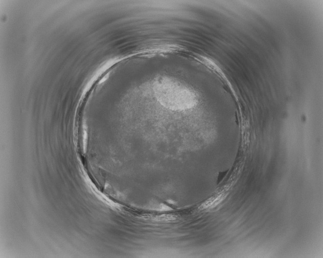 X0000052630851200507221748