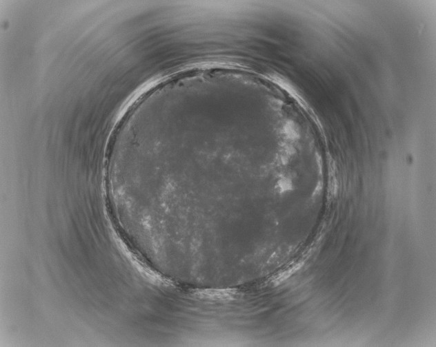 X0000052630853200507221748