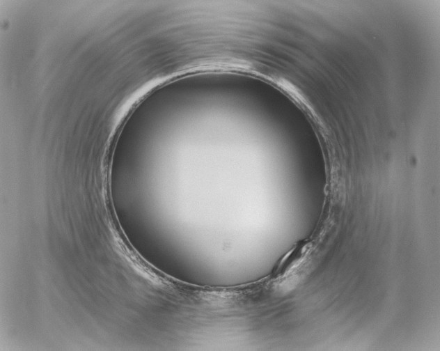 X0000052630854200507221748