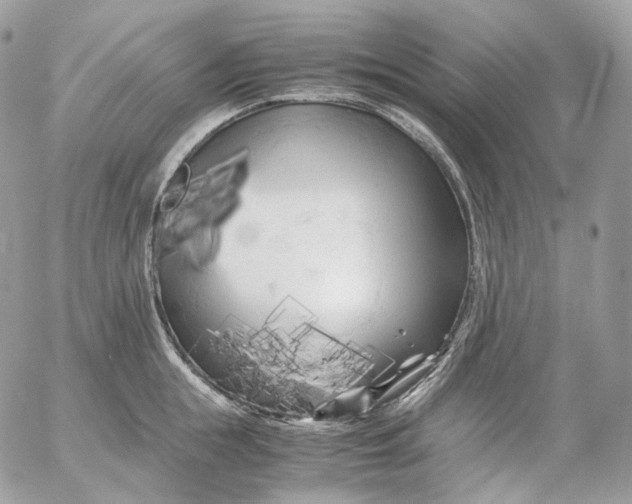 X0000052630855200507221748