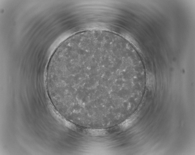 X0000052630856200507221748