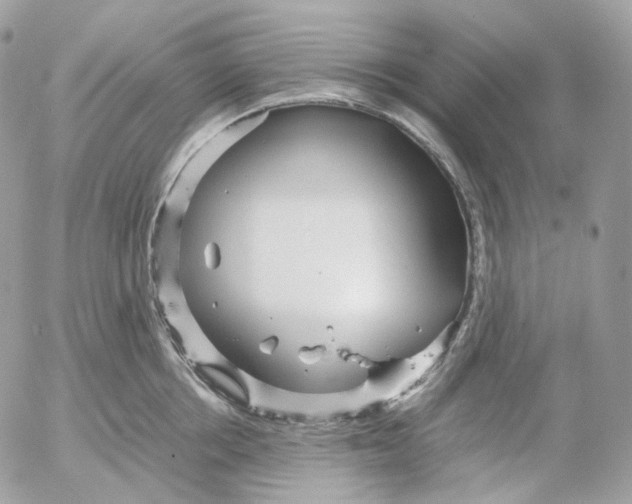 X0000052630858200507221748