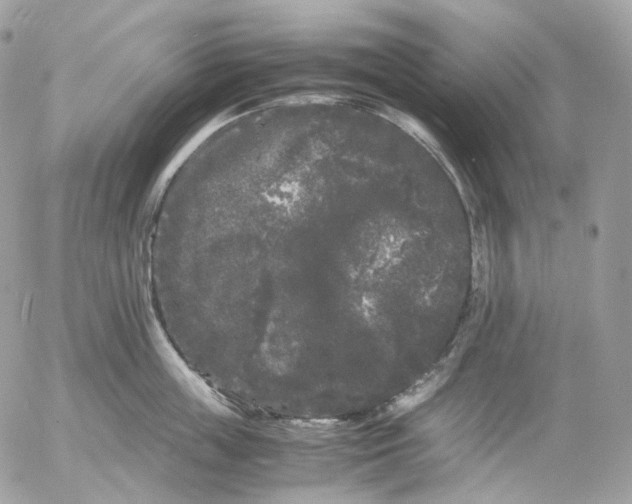 X0000052630859200507221748