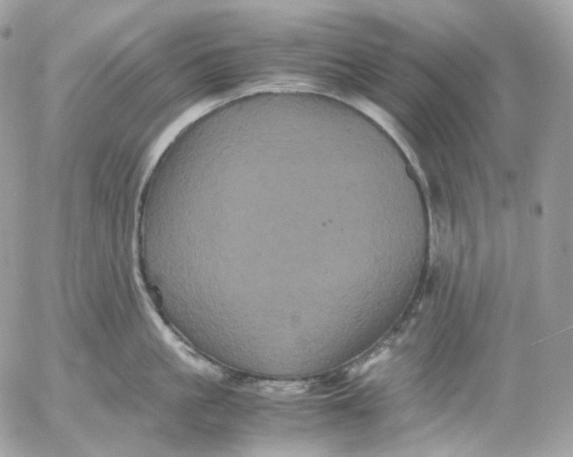 X0000052630861200507221748