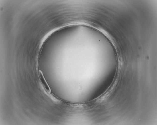 X0000052630862200507221748