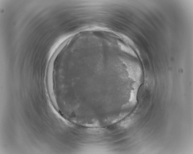 X0000052630863200507221748