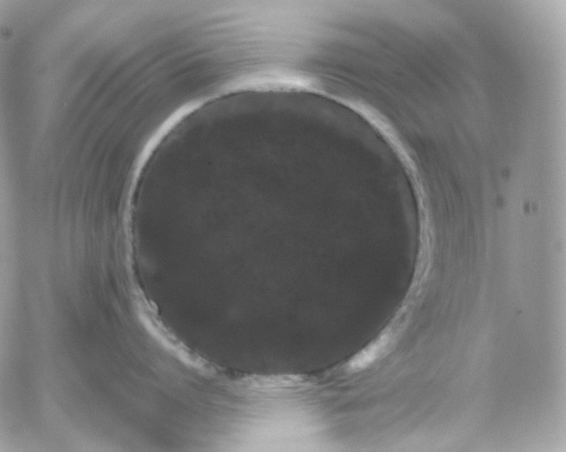 X0000052630864200507221748