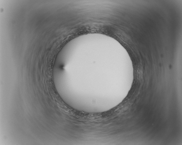 X0000052630865200507221747