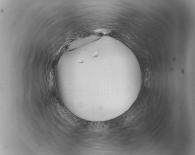 X0000052630866200507221747