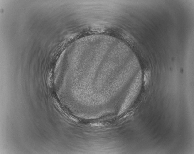 X0000052630867200507221747