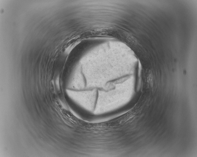 X0000052630868200507221747