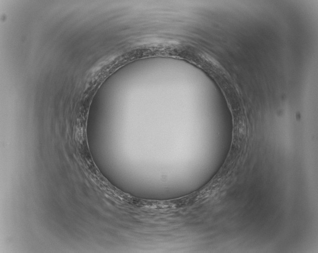 X0000052630869200507221747