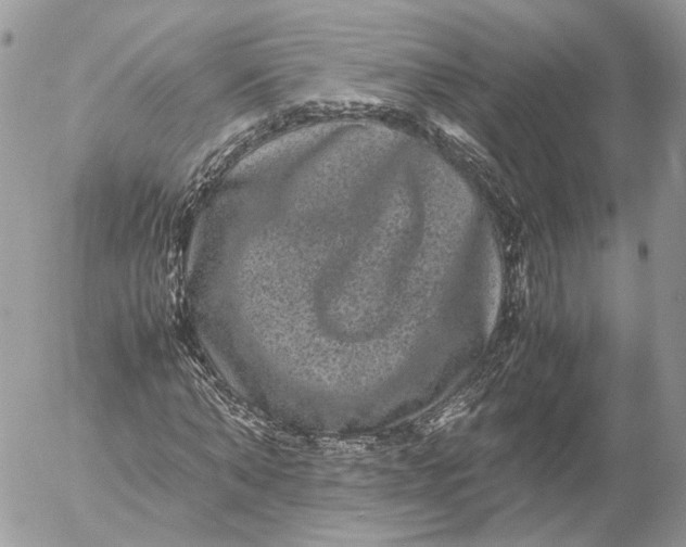 X0000052630870200507221747