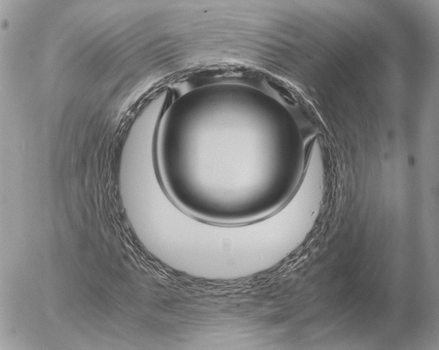 X0000052630871200507221747