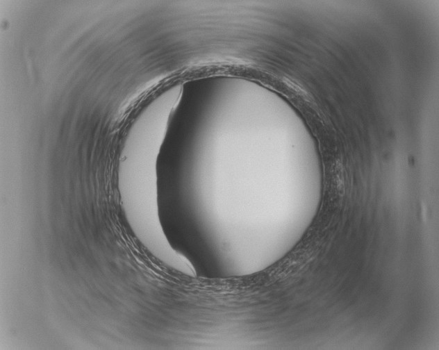 X0000052630872200507221747