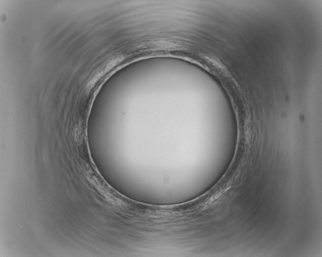 X0000052630873200507221747