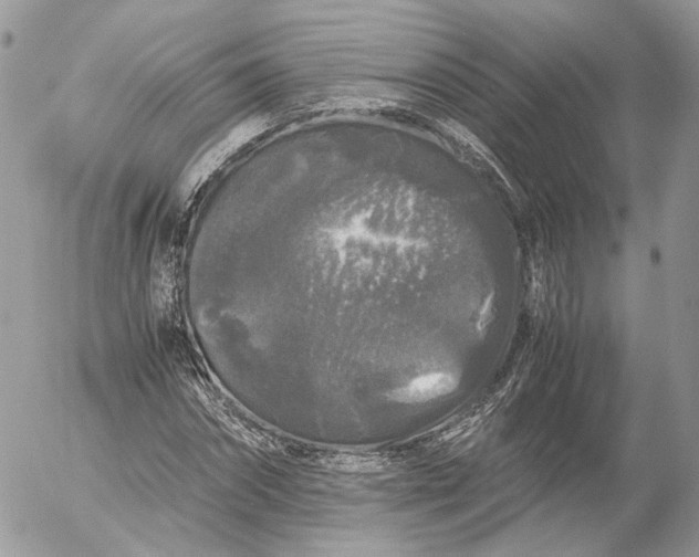 X0000052630874200507221747