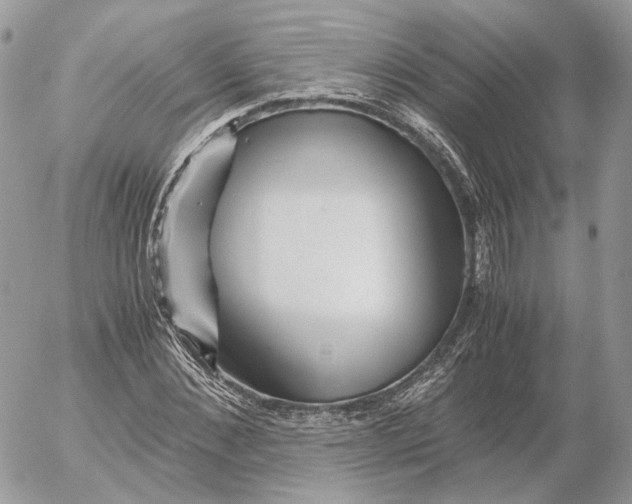 X0000052630876200507221747