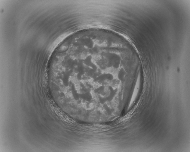 X0000052630879200507221747