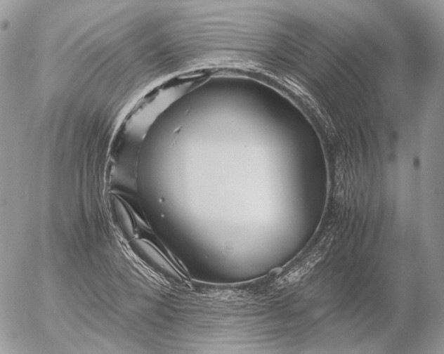 X0000052630880200507221747