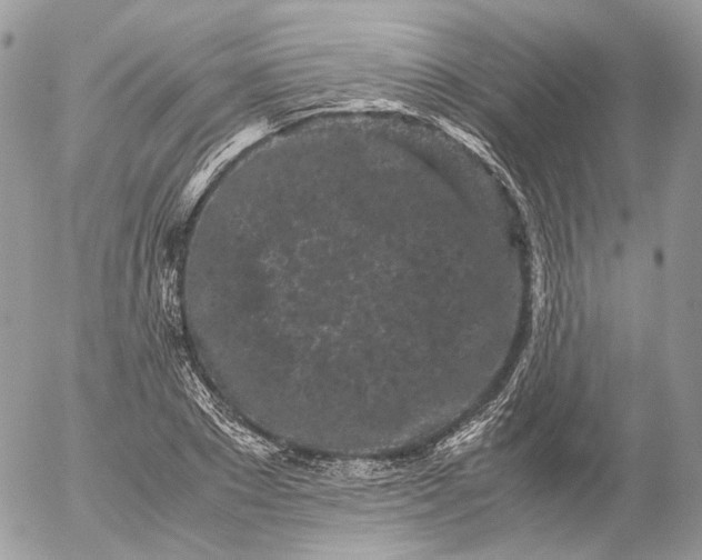 X0000052630881200507221747