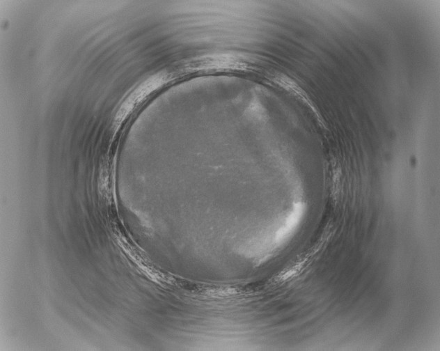 X0000052630882200507221747