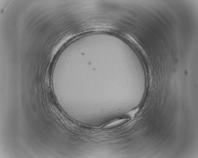 X0000052630883200507221747