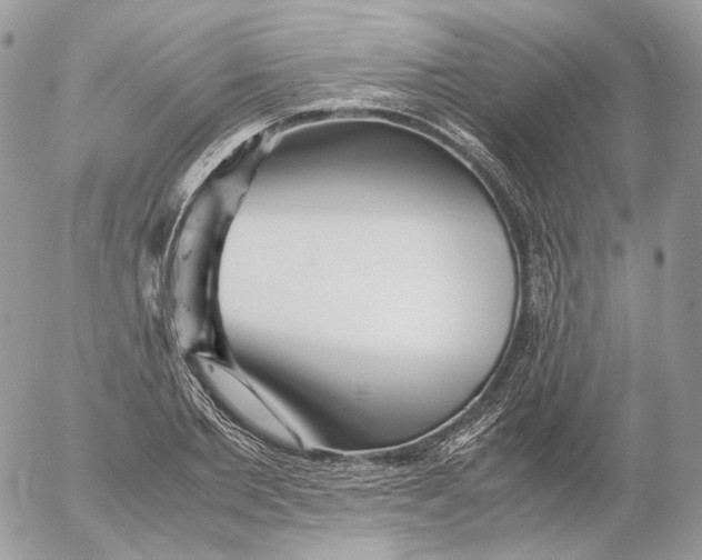 X0000052630885200507221747