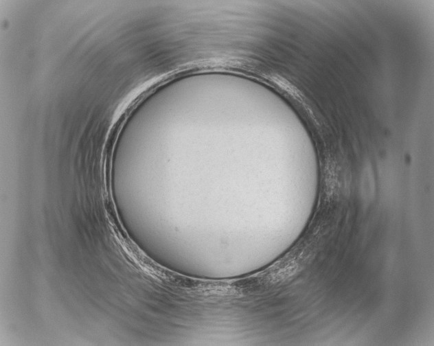 X0000052630886200507221747