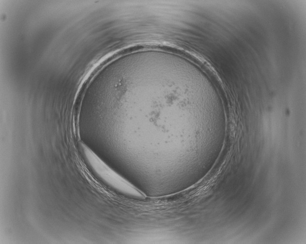 X0000052630887200507221747