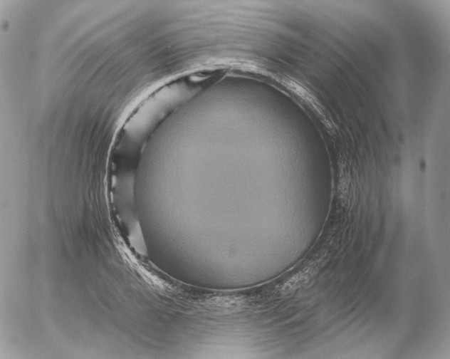 X0000052630888200507221747