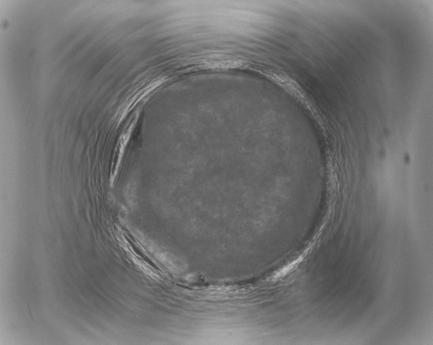 X0000052630889200507221747