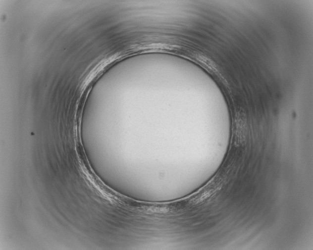 X0000052630890200507221747