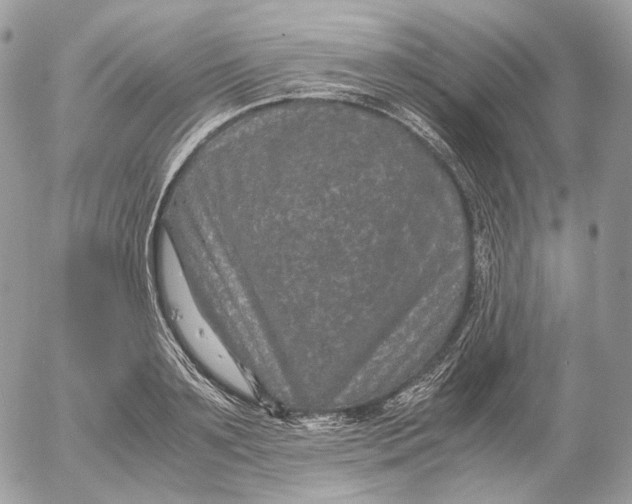 X0000052630891200507221747