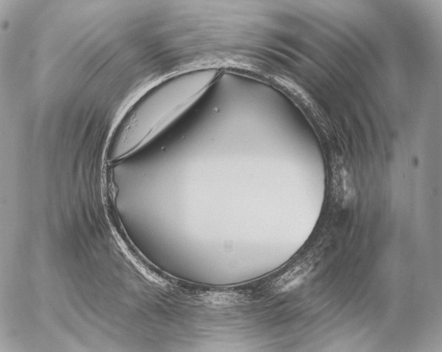 X0000052630894200507221747