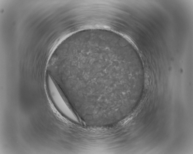 X0000052630895200507221747