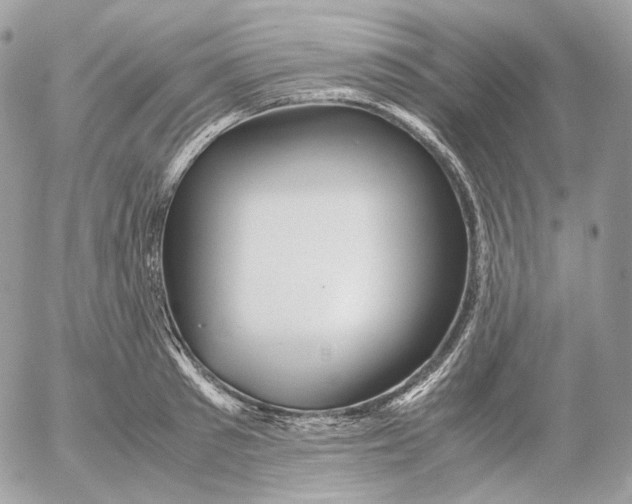 X0000052630897200507221747